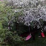Honey Lägenhet *